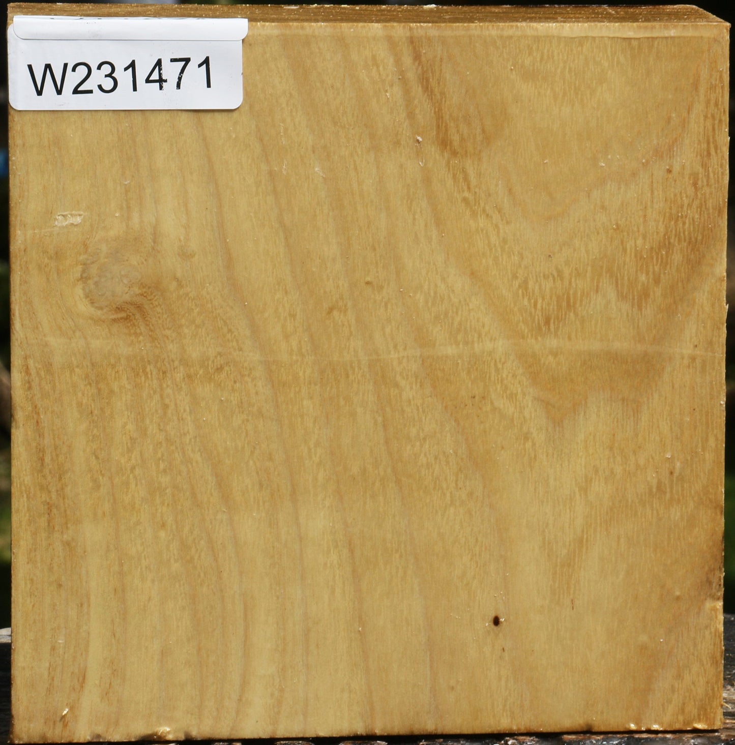 Black Locust Bowl Blank