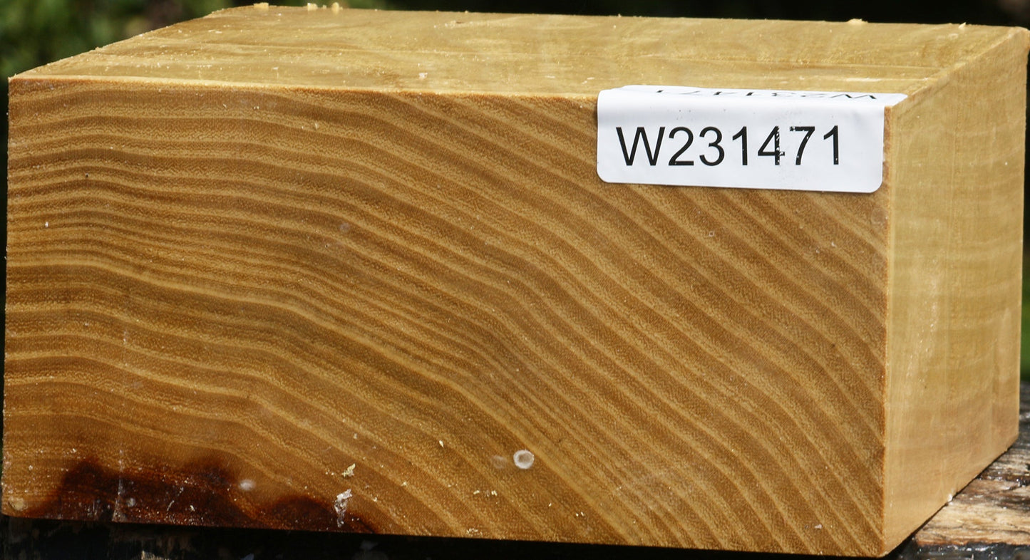 Black Locust Bowl Blank