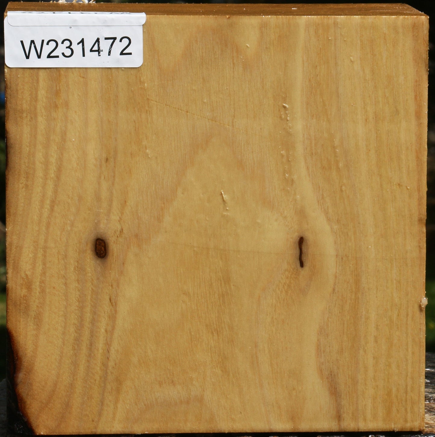 Black Locust Bowl Blank