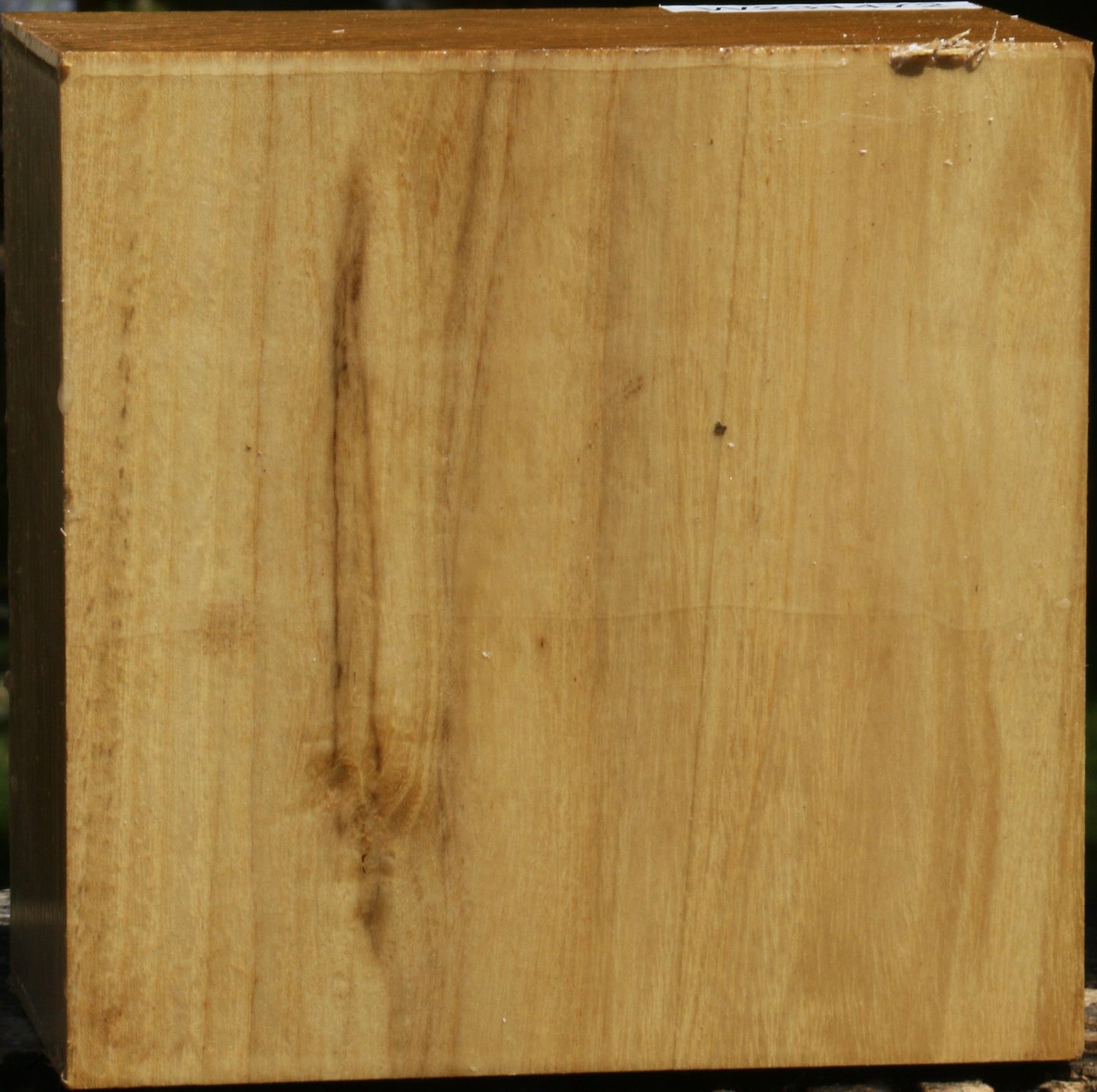 Black Locust Bowl Blank