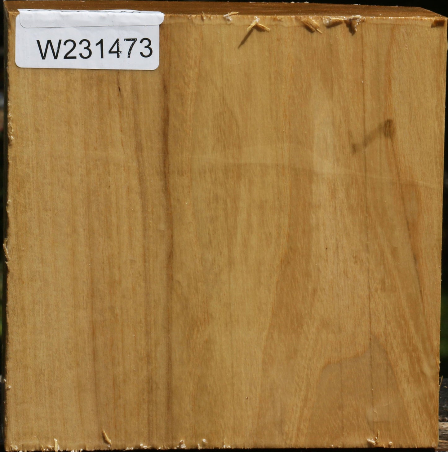 Black Locust Bowl Blank