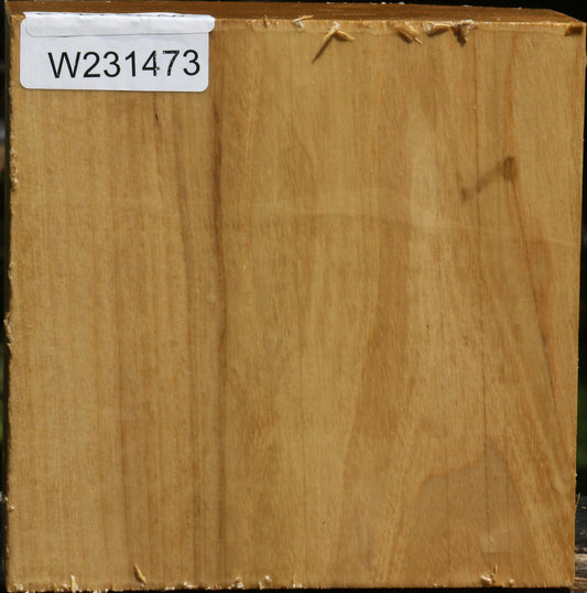 Black Locust Bowl Blank