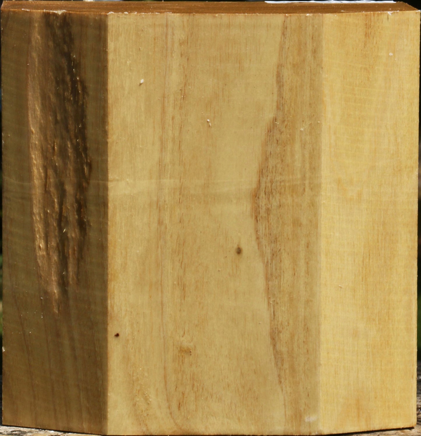 Black Locust Bowl Blank