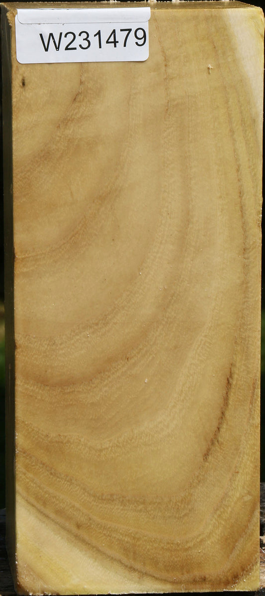 Black Locust Vessel Blank