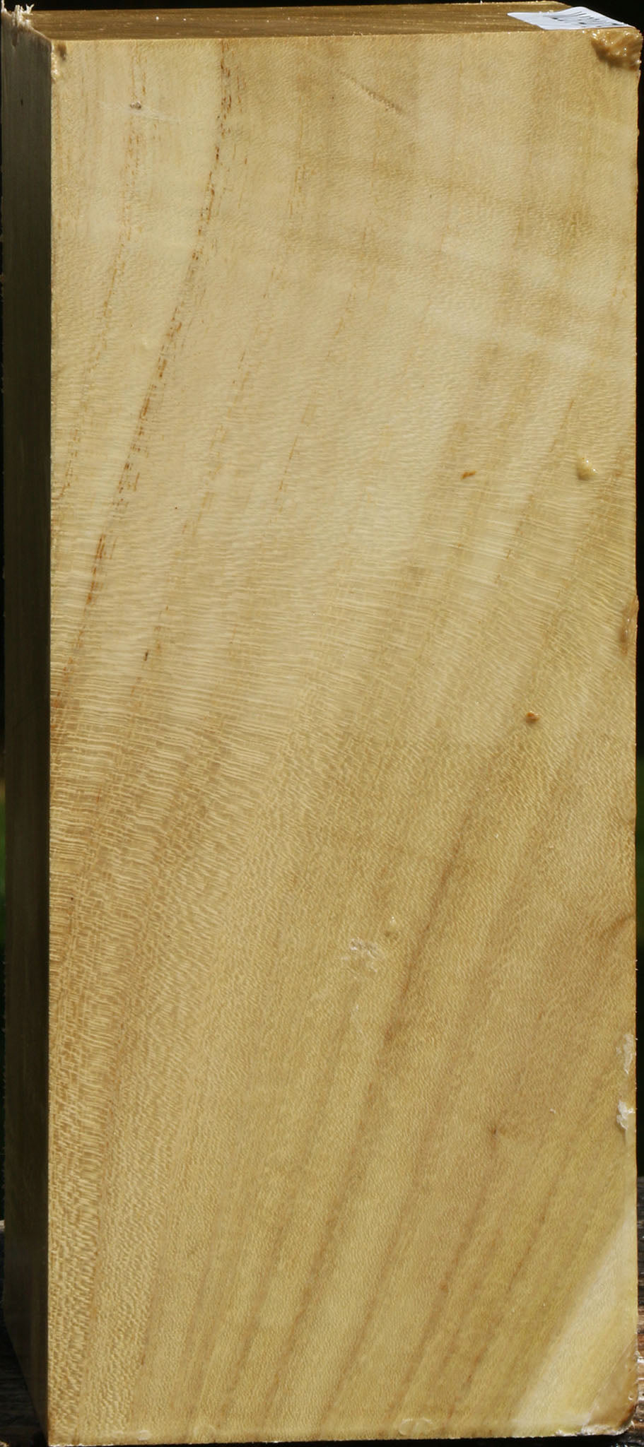 Black Locust Vessel Blank