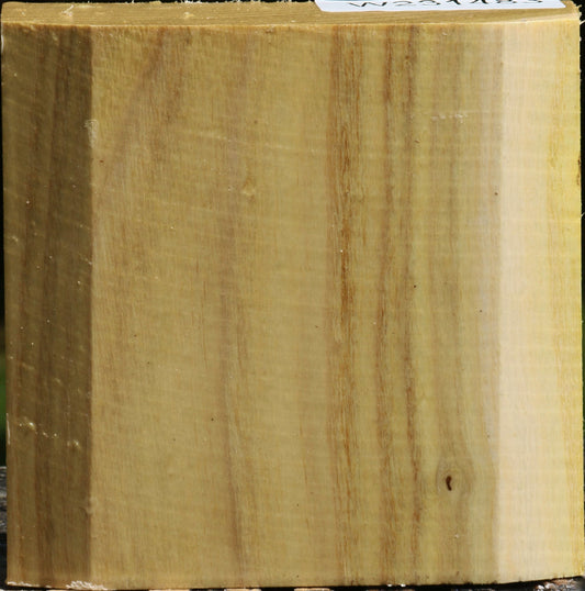 Black Locust Bowl Blank