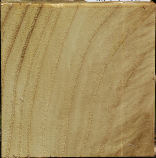 Black Locust Bowl Blank