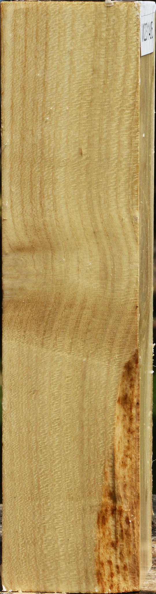 Black Locust Peppermill