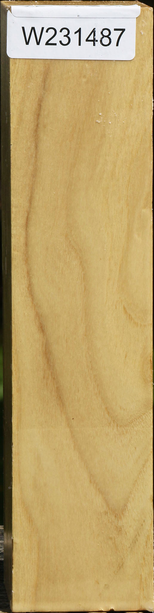Black Locust Peppermill