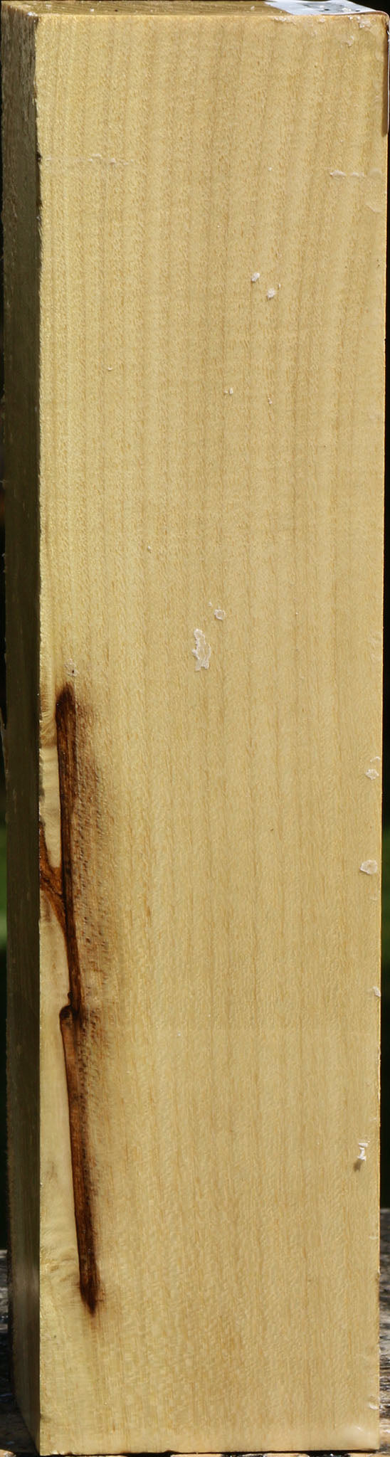 Black Locust Peppermill