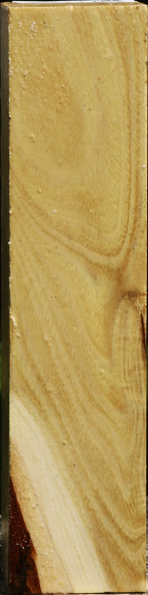 Black Locust Peppermill
