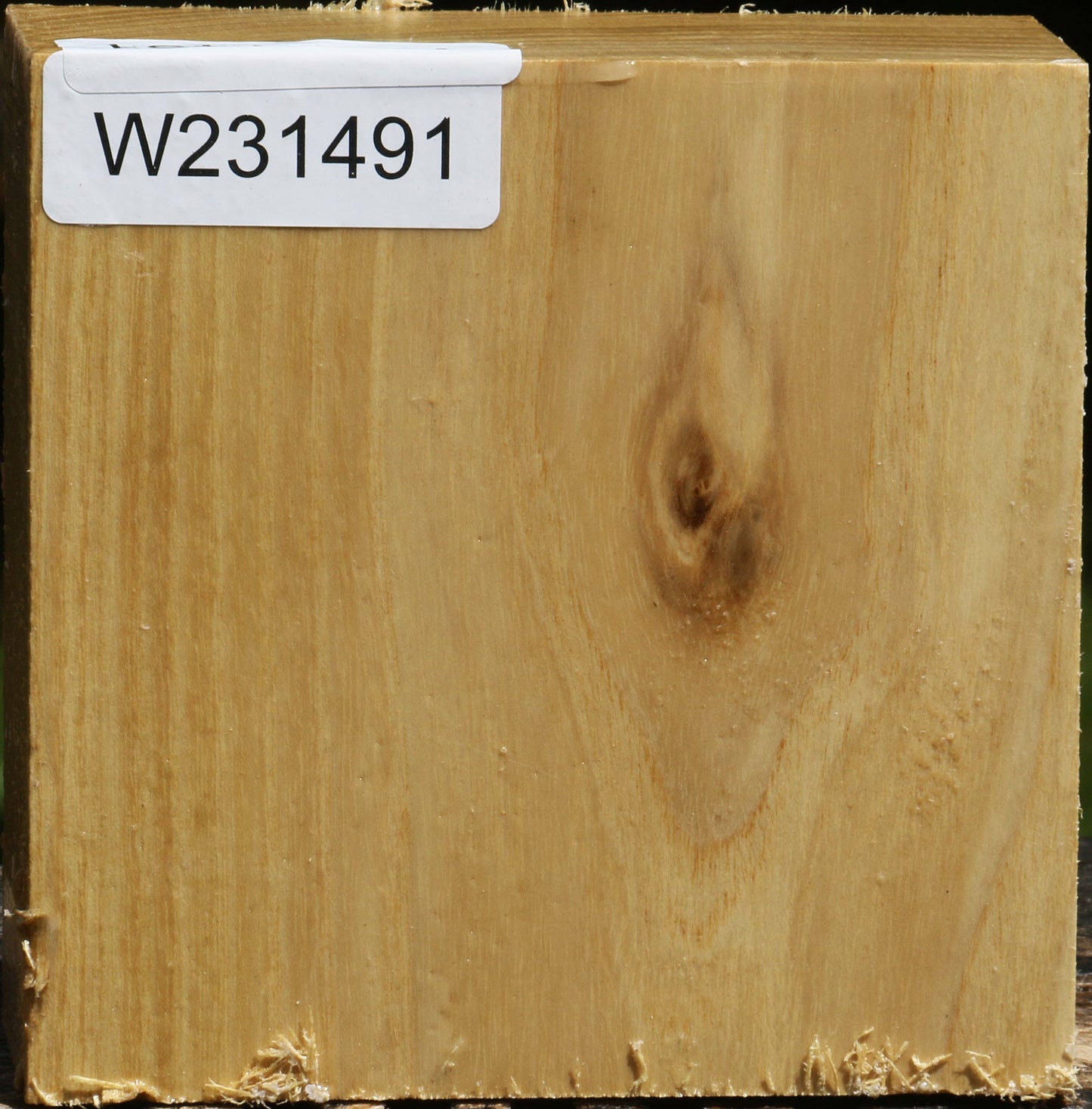 Black Locust Bowl Blank