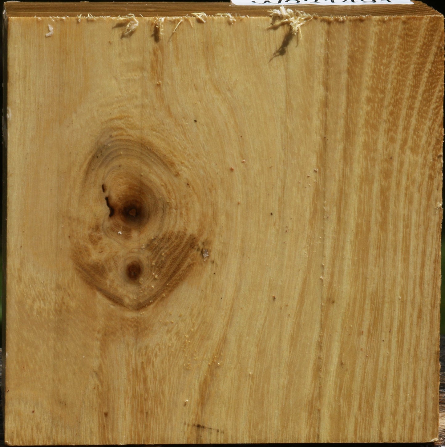 Black Locust Bowl Blank