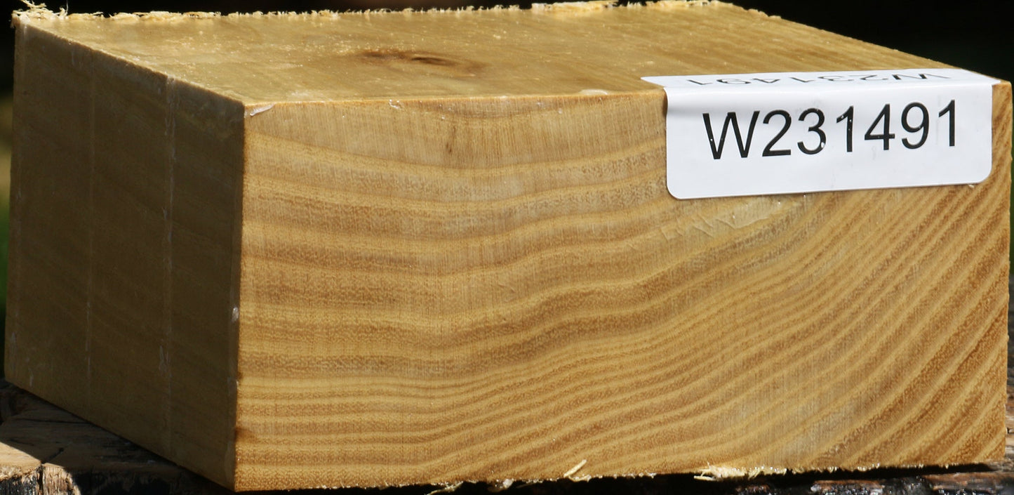 Black Locust Bowl Blank