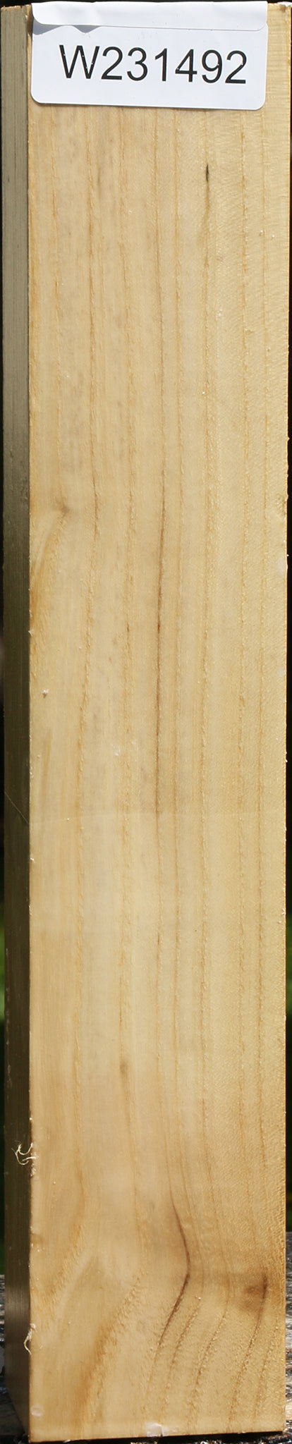 Black Locust Peppermill