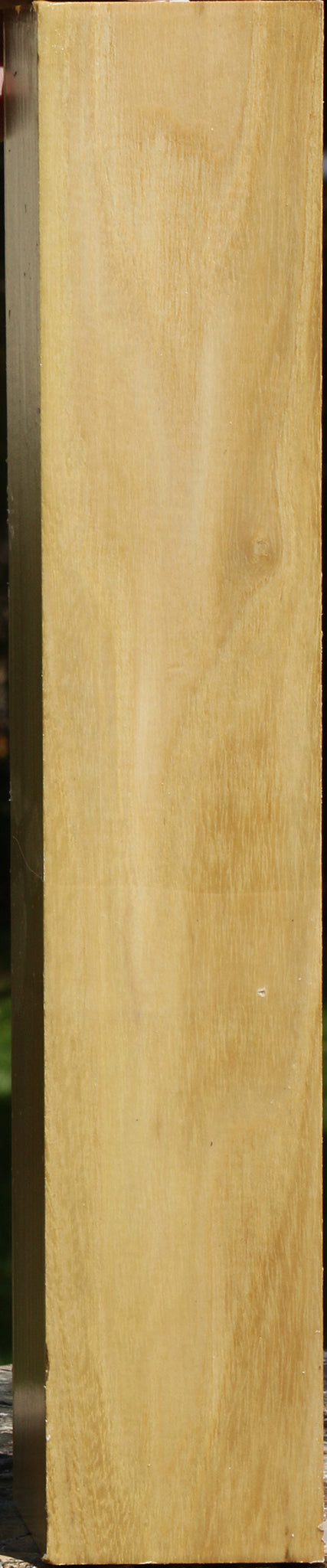 Black Locust Peppermill