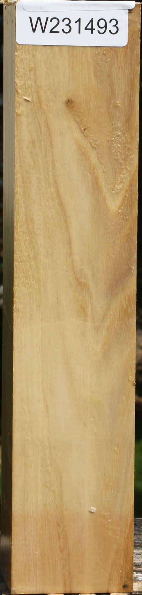 Black Locust Peppermill