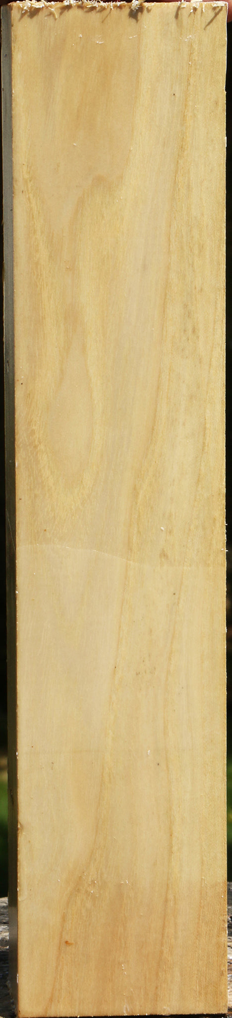 Black Locust Peppermill