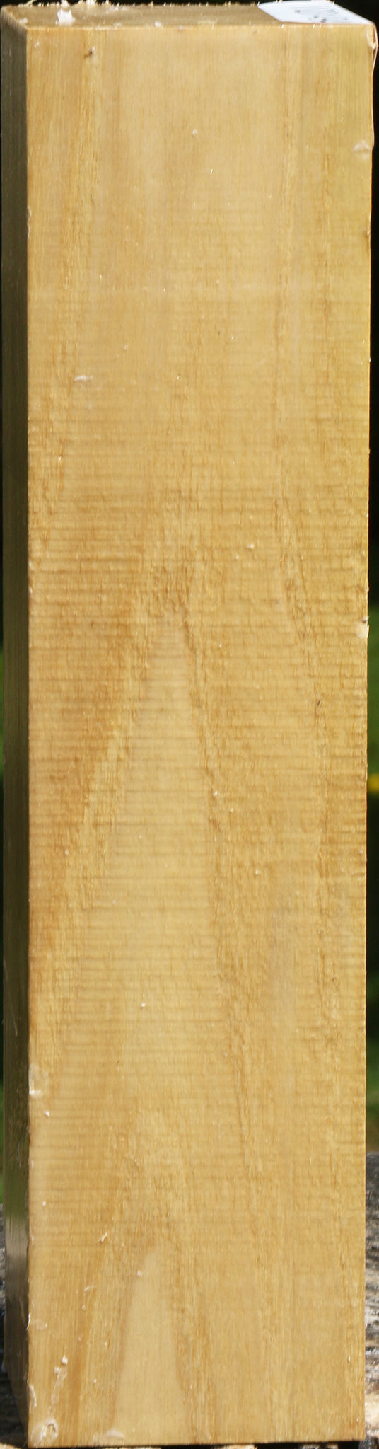 Black Locust Peppermill