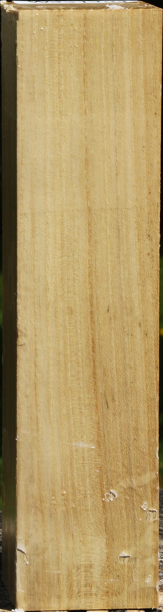 Black Locust Peppermill