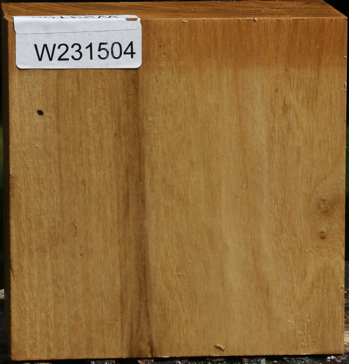 Black Locust Bowl Blank