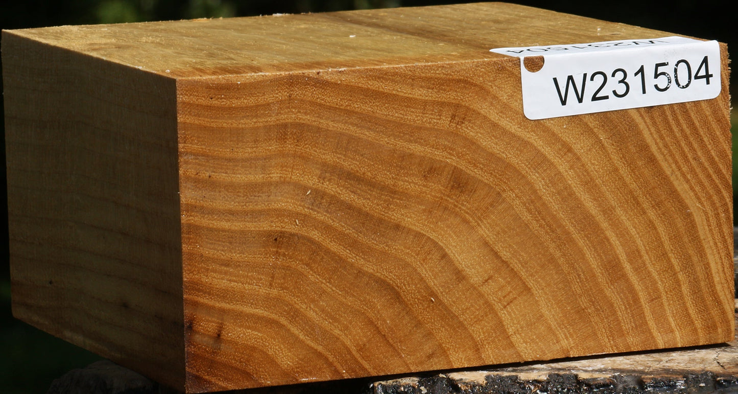 Black Locust Bowl Blank