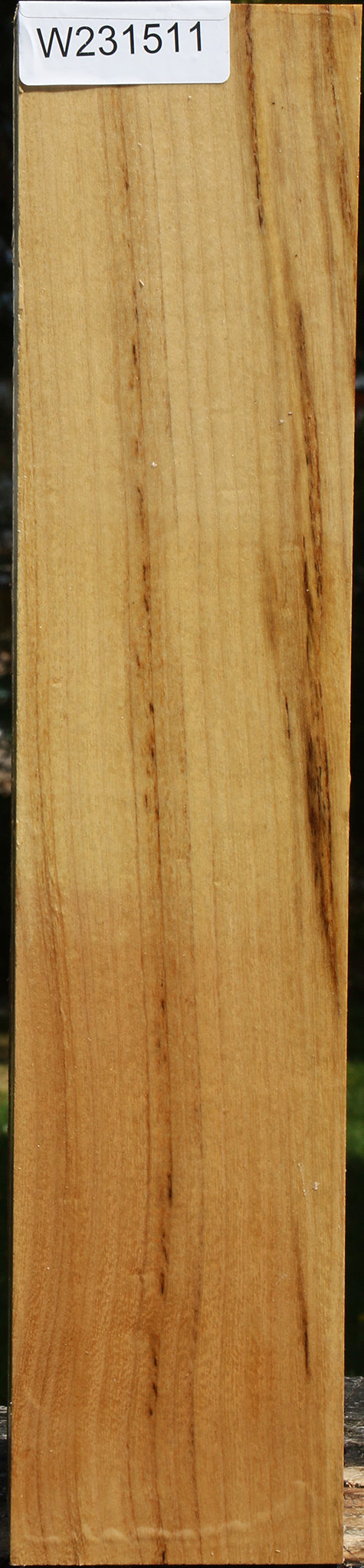 Black Locust Vessel Blank