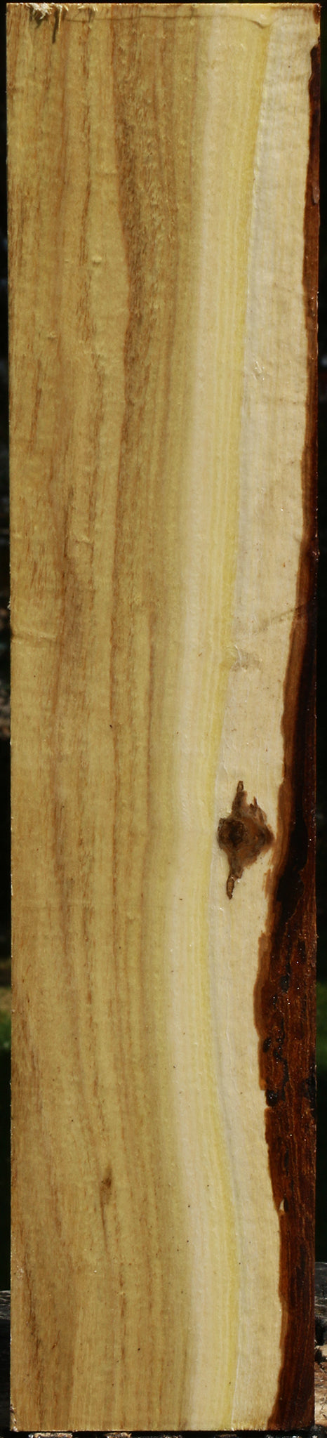 Black Locust Vessel Blank