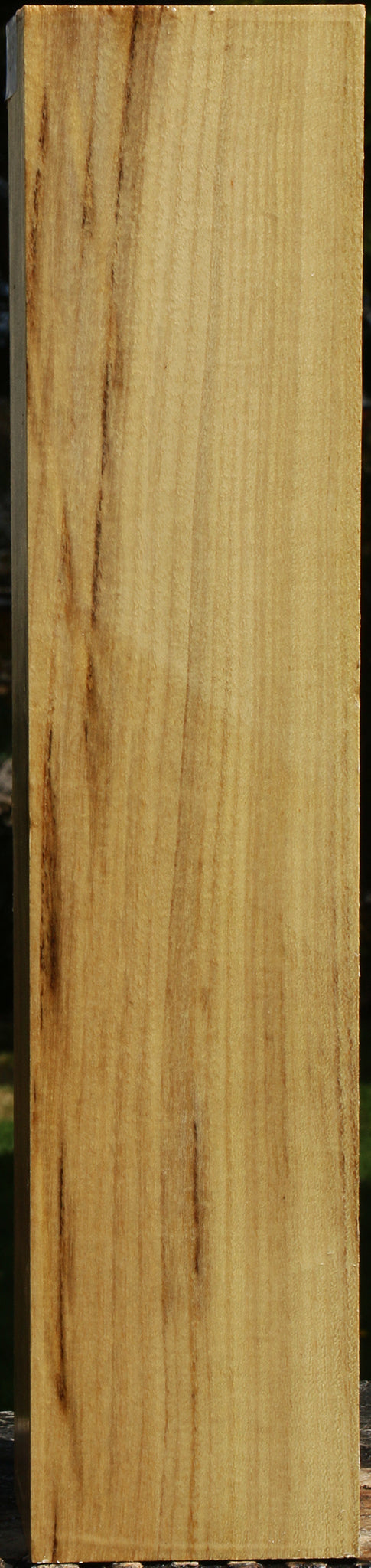 Black Locust Vessel Blank