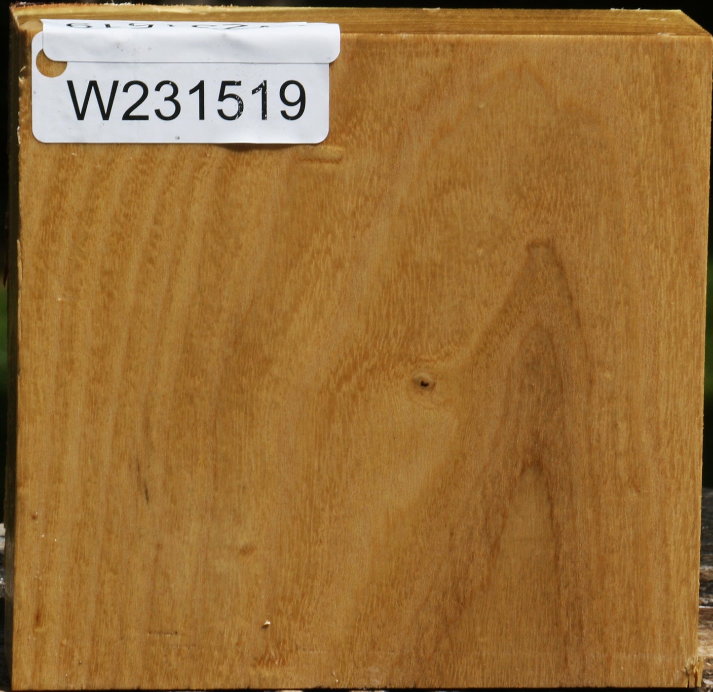 Black Locust Bowl Blank