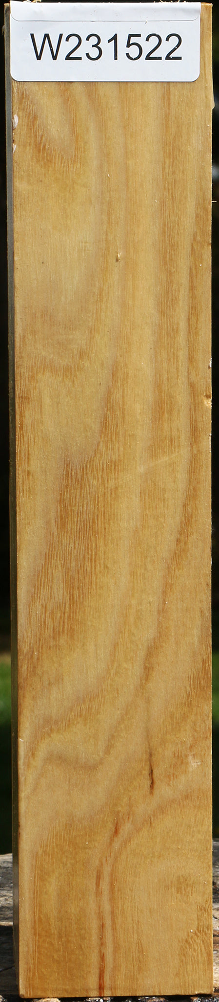 Black Locust Turning Square
