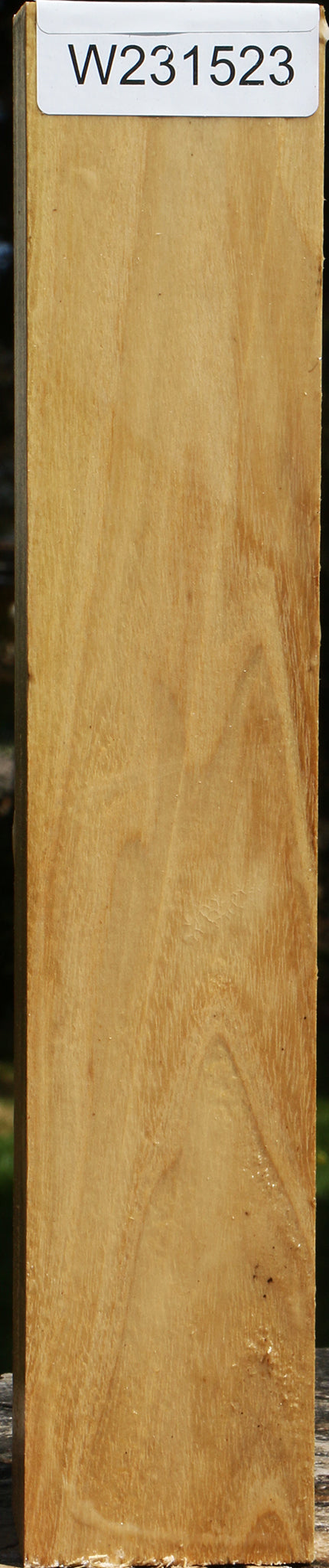 Black Locust Turning Square