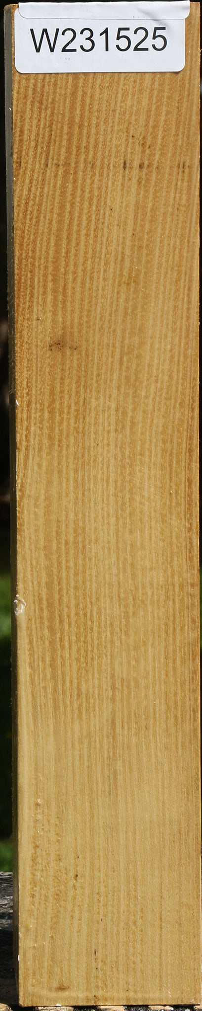 Black Locust Peppermill