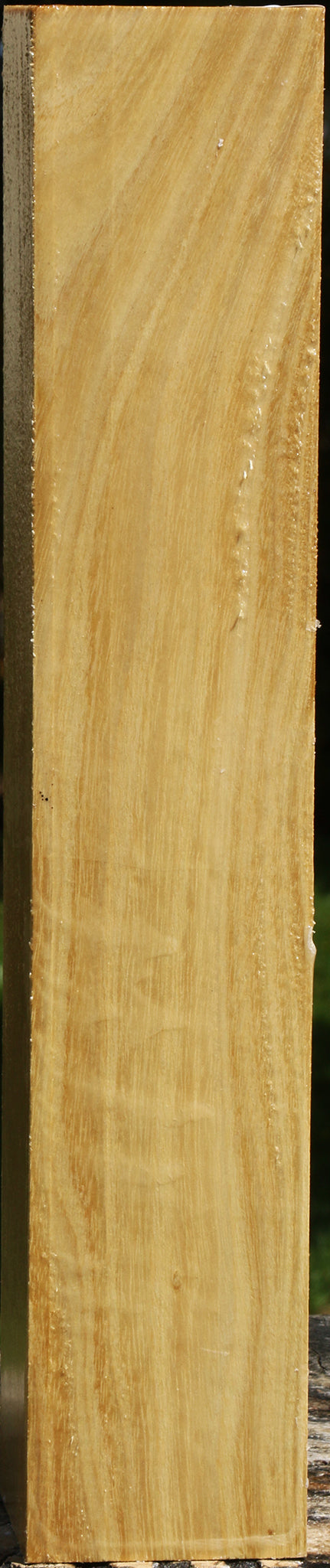 Black Locust Peppermill