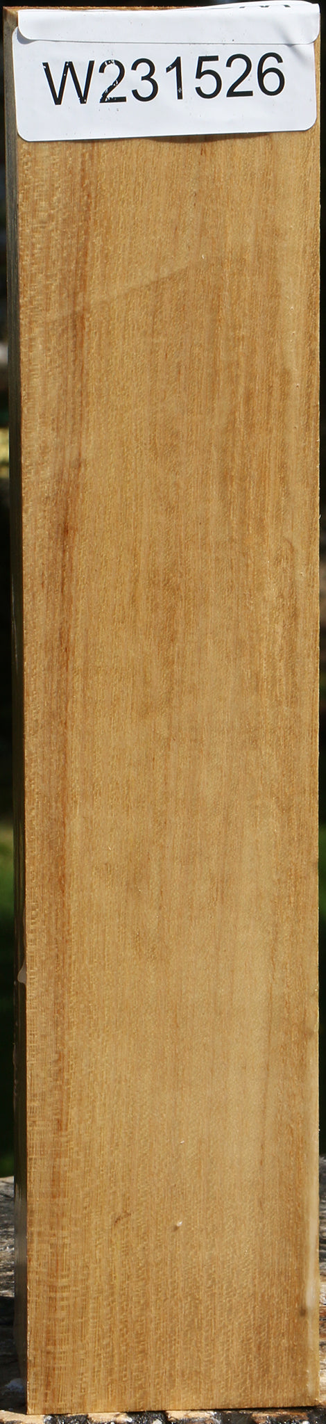 Black Locust Turning Square