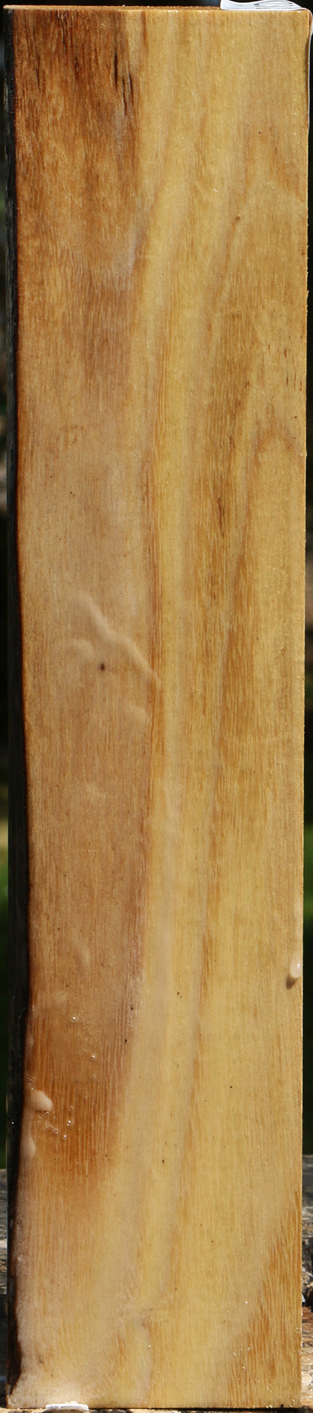Black Locust Turning Square