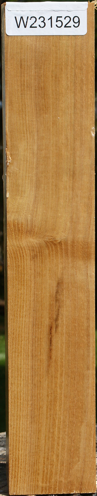 Black Locust Turning Square
