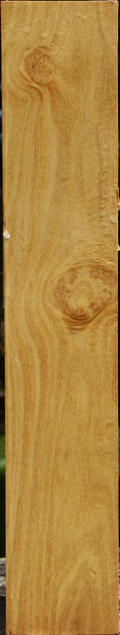 Black Locust Turning Square