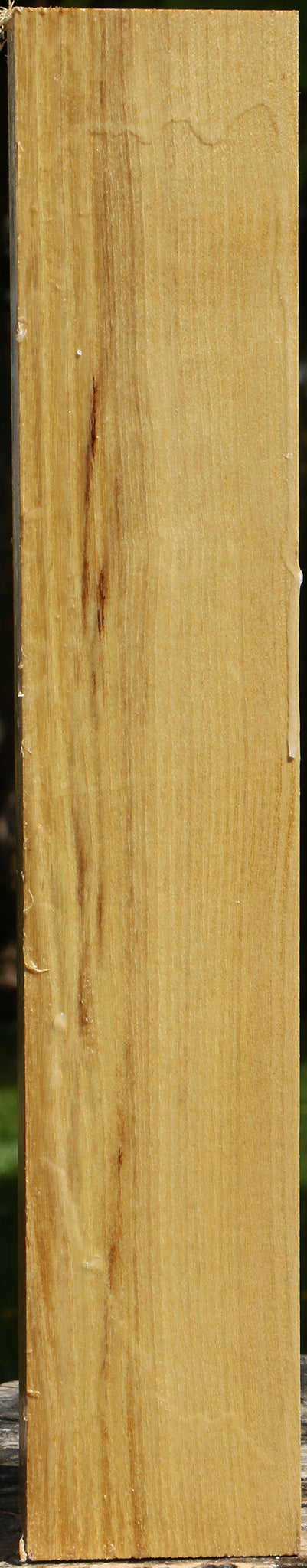 Black Locust Turning Square