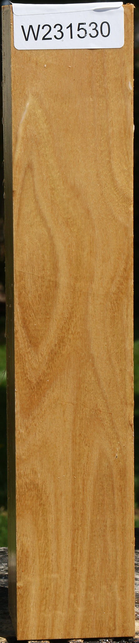 Black Locust Peppermill
