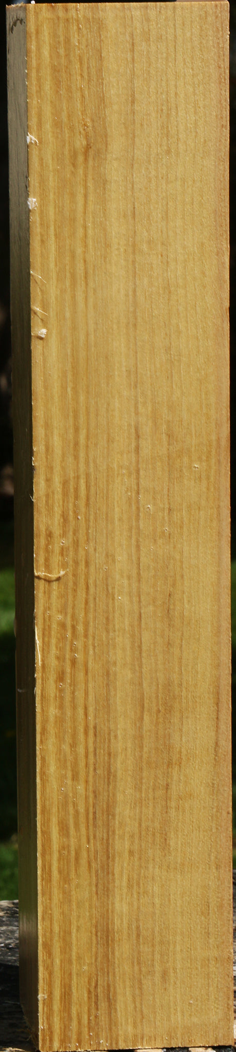 Black Locust Peppermill