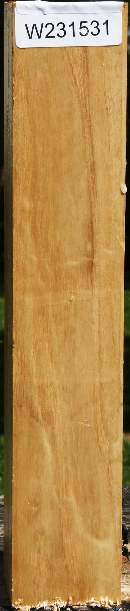 Black Locust Turning Square