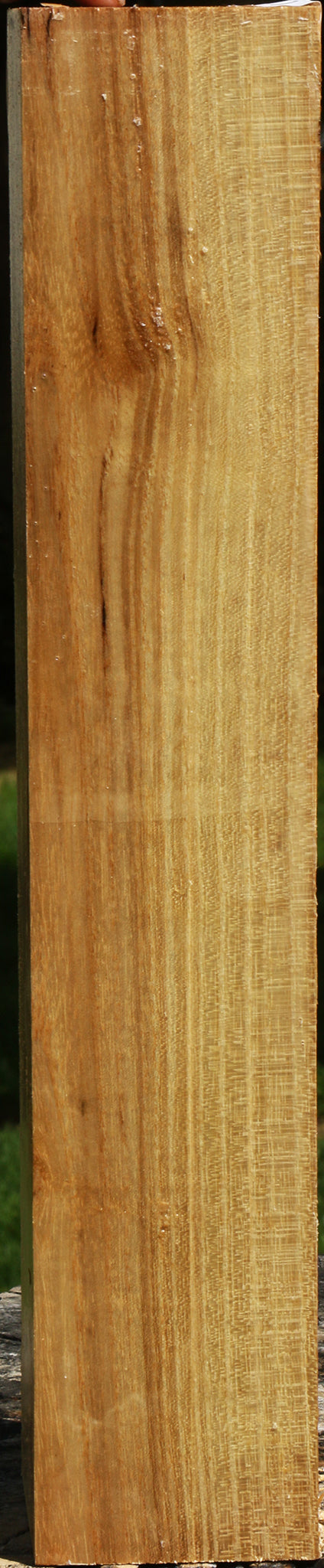 Black Locust Turning Square