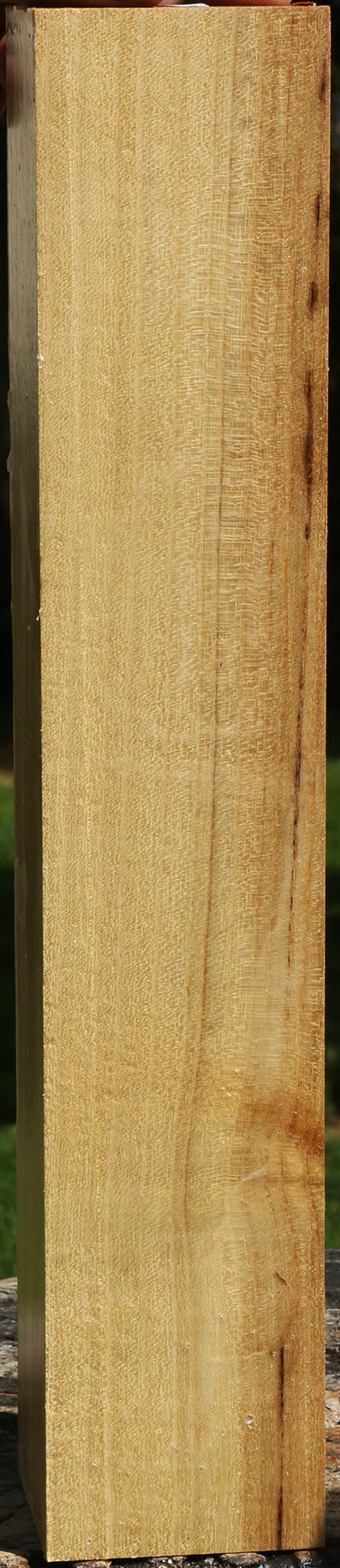 Black Locust Turning Square