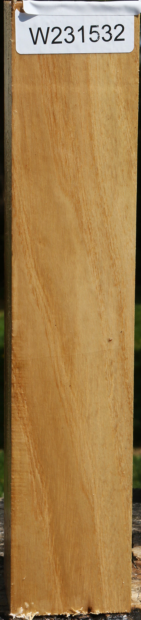 Black Locust Peppermill