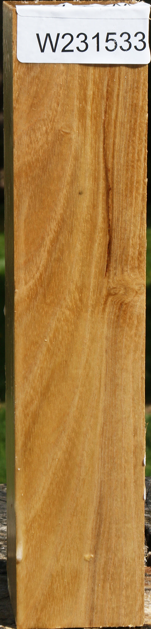Black Locust Turning Square