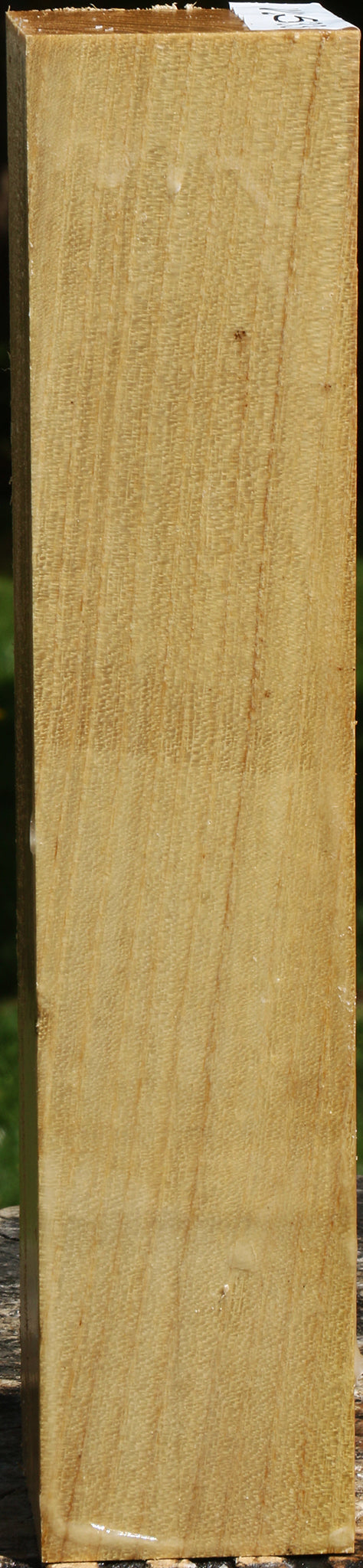 Black Locust Turning Square