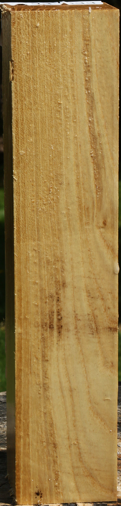 Black Locust Turning Square