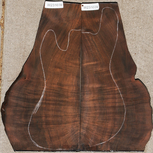 Special Grade Brazilian Rosewood Drop Top Electric Guitar Set