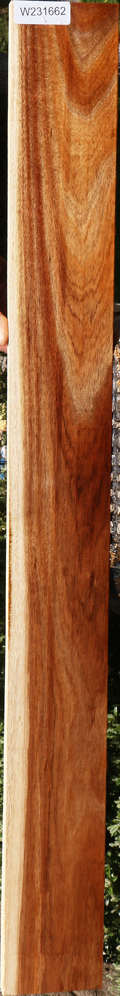 Tasmanian Blackwood Lumber